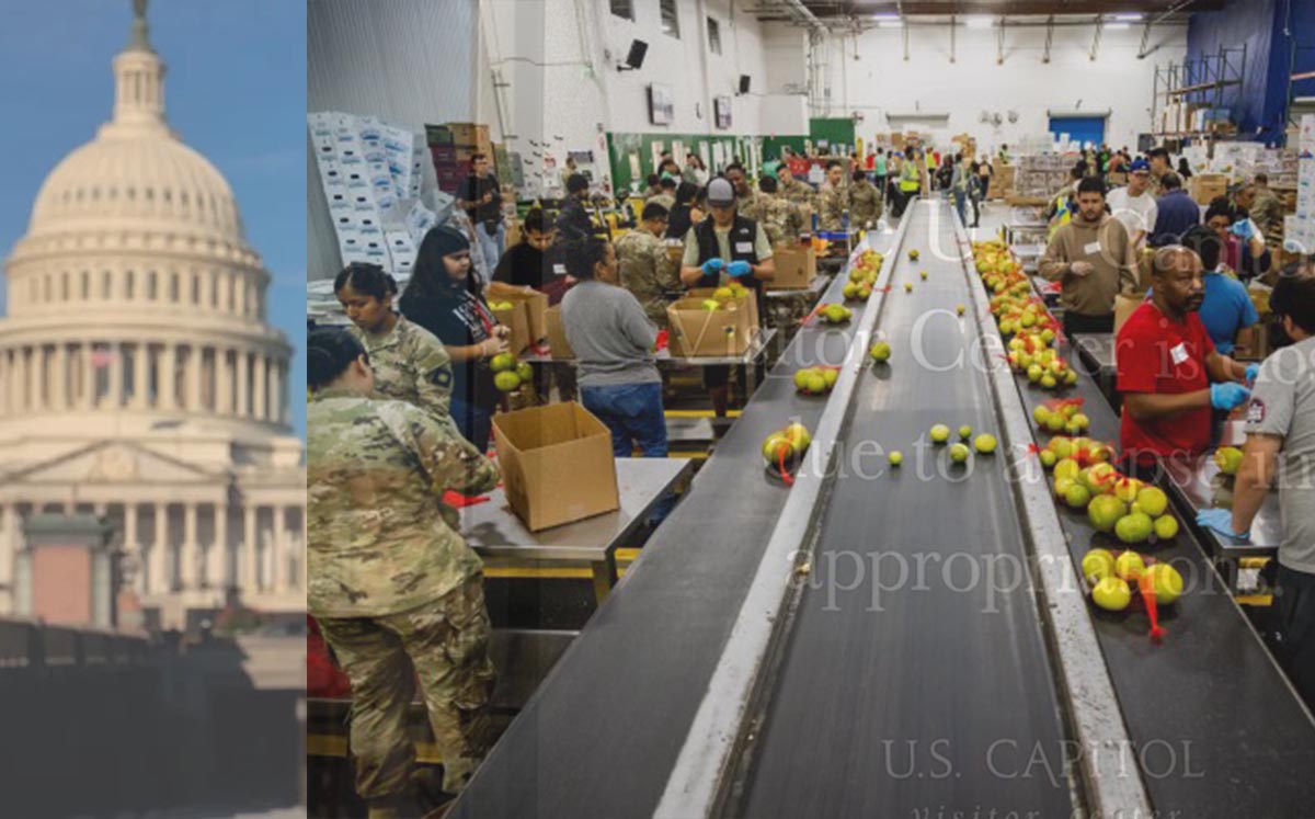 Americans Are Hurting as Shutdown Disrupts Airports and Grocery Stores